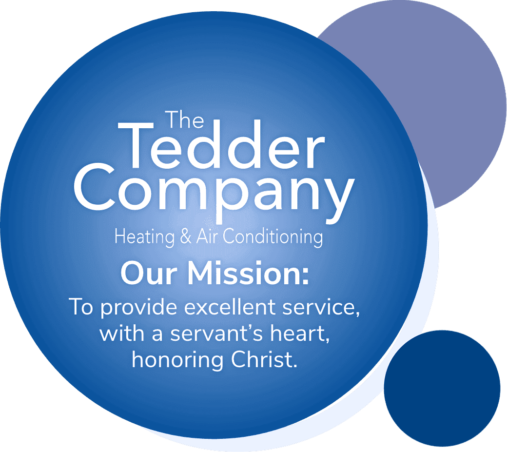 ted-company-img